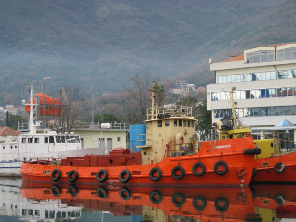 Dubravica Bijela, Bokeški kapetani, Kapetani Boka Kotorska
